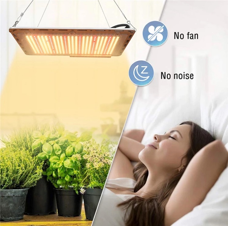 Best Succulent Grow Light Indoor Growing Lamp