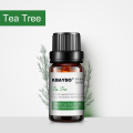 Tea Tree