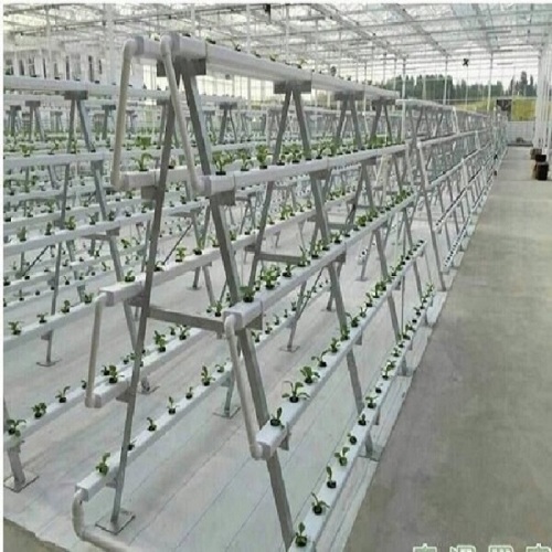 Commercial Hydroponic System NFT Channel System Manufacturers and Commercial Hydroponic System NFT Channel System Suppliers