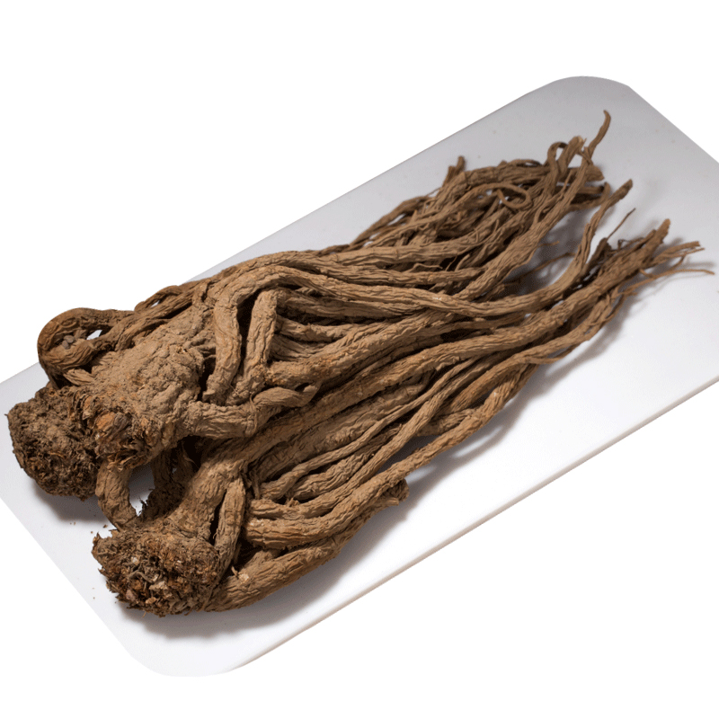 Angelicae Sinensis Radix / Chinese Angelica Root (DANG GUI) Dry