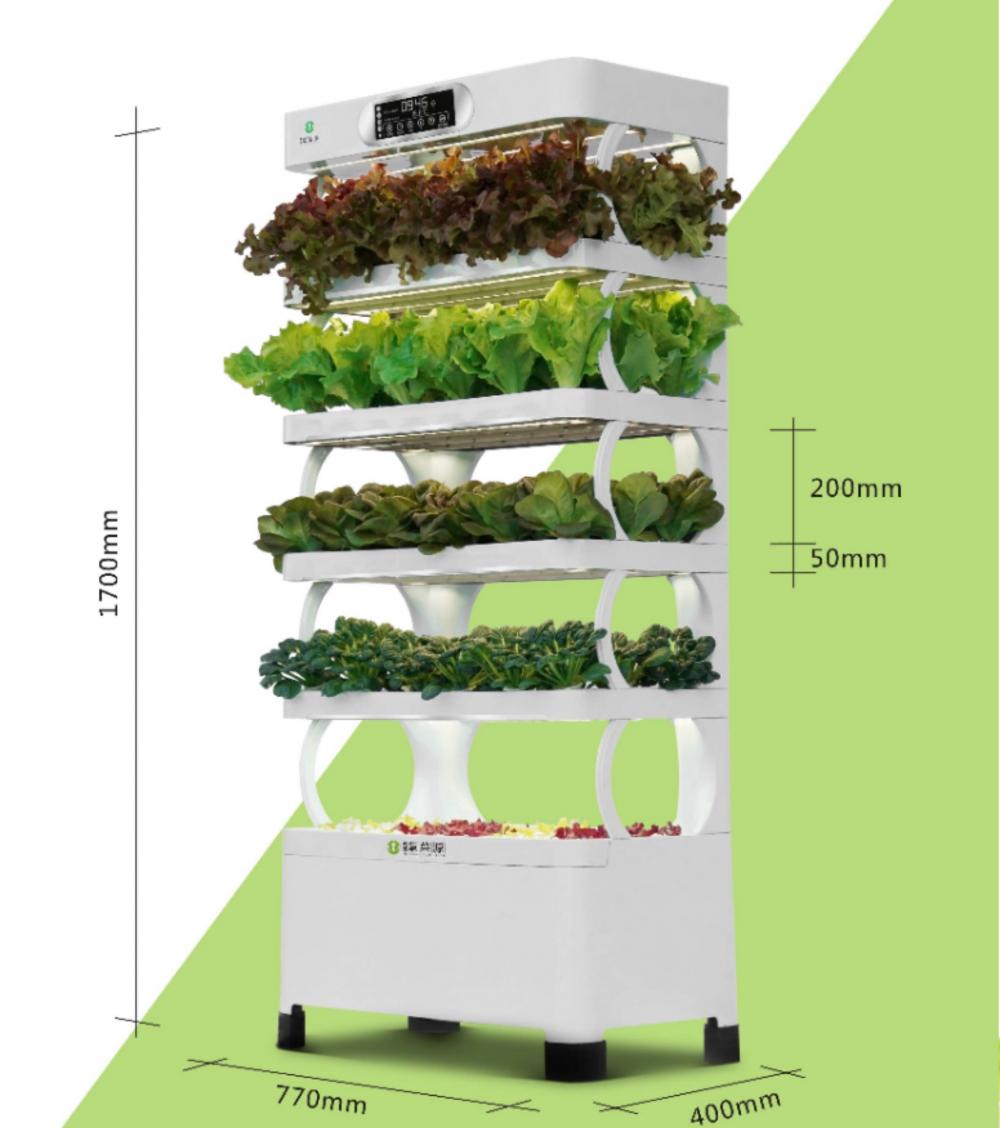 Hydroponic Home Used Vegetables Plant Planter