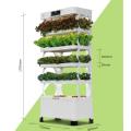 Vertical indoor garden use grow smart hydroponic system