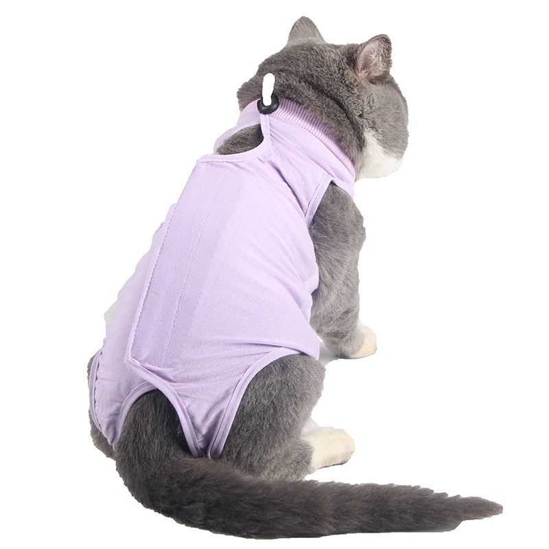 Pet Recovery Suit