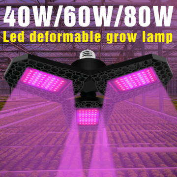 Full Spectrum Led Grow Lamp E27 Plant Light 40W 60W 80W LED Seedling Fito Lights 220V Plants Lampada LED Flower Seed Growth Tent