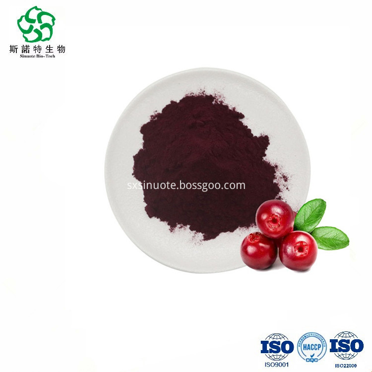 Cranberry Extract Powder