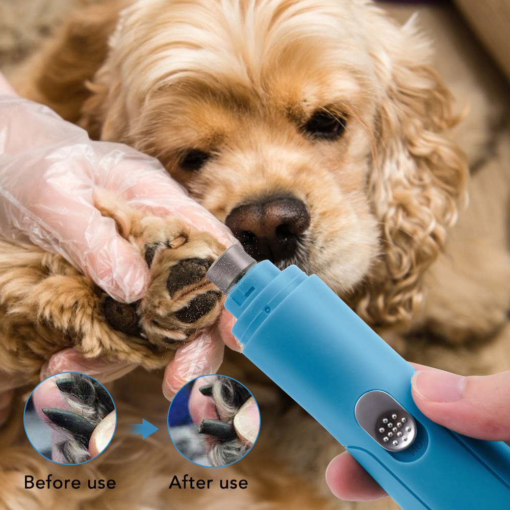 Pet Grinding Kit Jpg