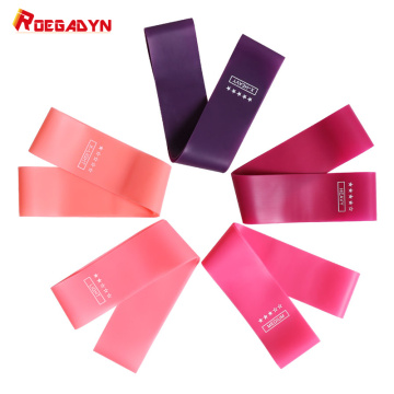 ROEGADYN 4/5Pcs Rubber Bands For Fitness Strength Resistance Bands Exercise Fitness Bands Resistance Training Fitness Gum