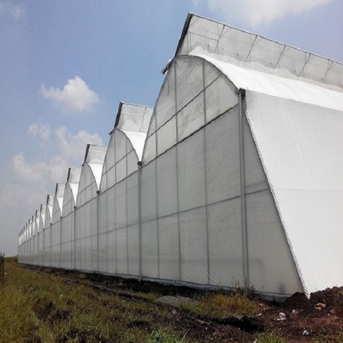 Large Multi-Span Plastic Film Vegetables Greenhouse Manufacturers and Large Multi-Span Plastic Film Vegetables Greenhouse Suppliers