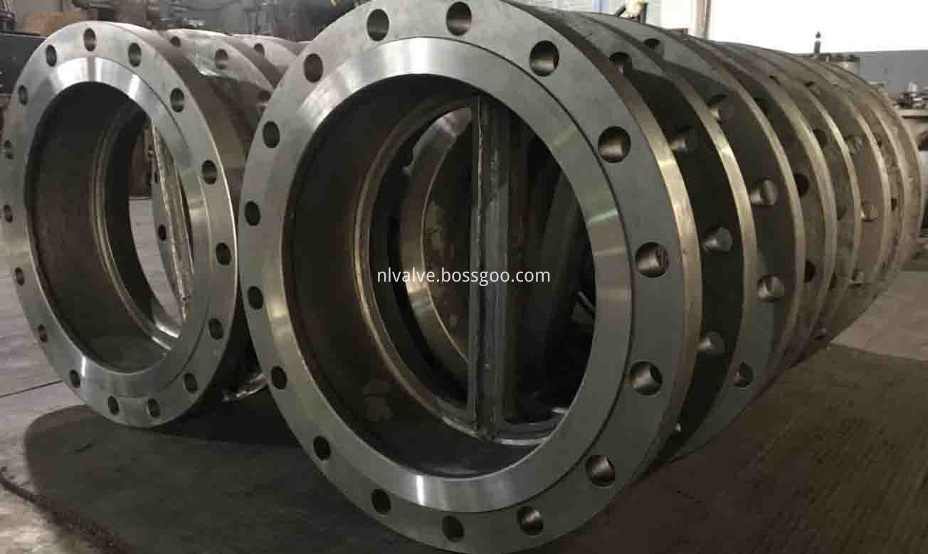 Dual Plate Swing Check Valve