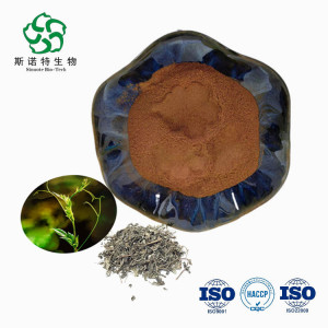 Free Sample Ampelopsis grossedentata Vine Tea Extract