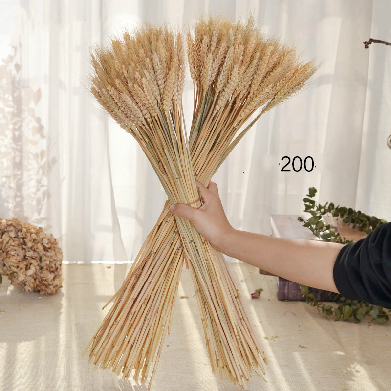 50 pcs Dried Flower Decor Bundle Dry Wheat Dried Flowers Big Pack Flowers for Weddings Natural Home Decorations Artificial Wheat