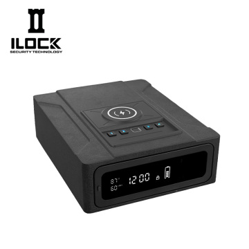 Compact Slide-out Gun Safe WX005 Design