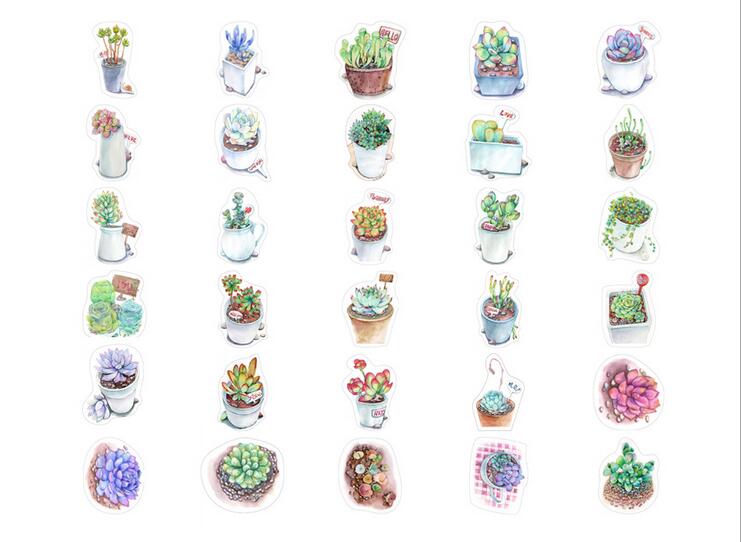 30pcs/lot Shaped postcards "succulent plants funs" greeting cards paper hand-drawn illustrations postcard festival