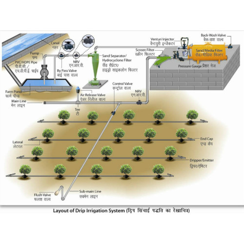 Greenhouse Drip Tape-Irrigation for Agriculture Manufacturers and Greenhouse Drip Tape-Irrigation for Agriculture Suppliers