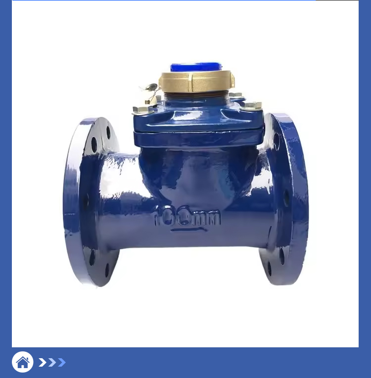 Dry Spiral Wing Water Meter