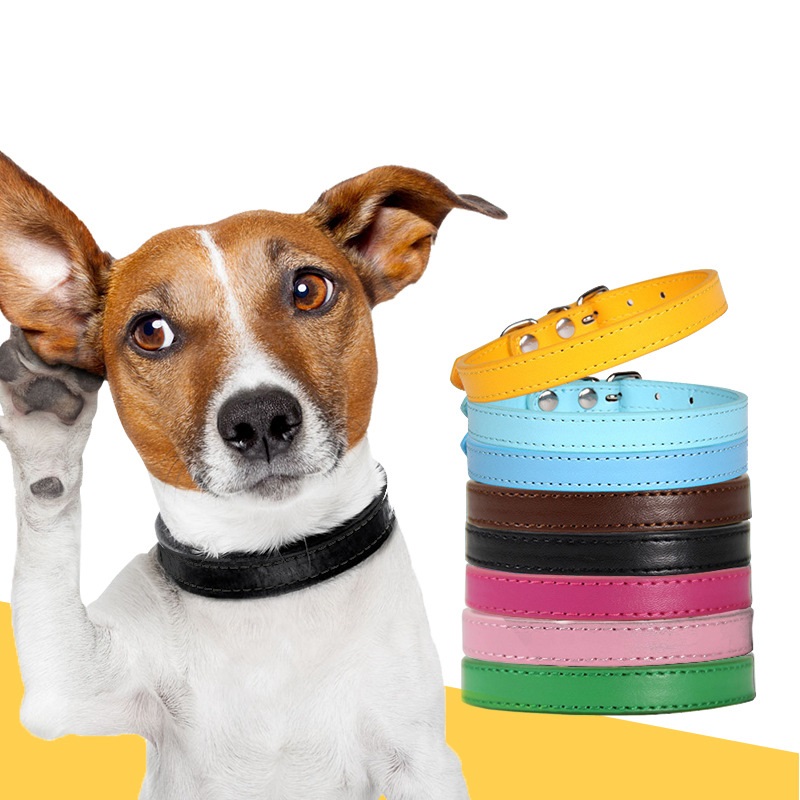 Leather Dog Collar Personalized