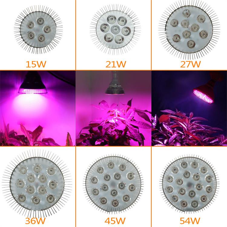 led  grow light