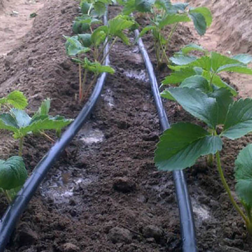 Drip Pipe For Greenhouse Irrigation System Manufacturers and Drip Pipe For Greenhouse Irrigation System Suppliers