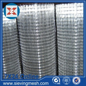 Galvanised Steel Wire Mesh