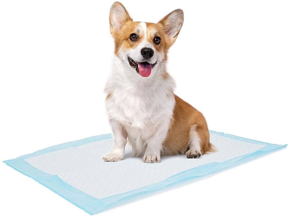 Dog and puppy training pads wee pad