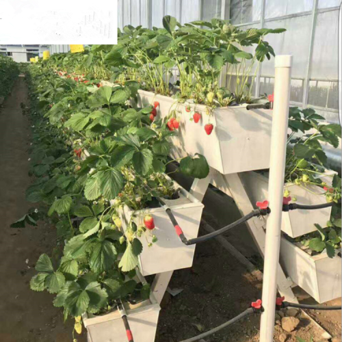 Skyplant PVC Strawberry Growing Hydroponics Channel Manufacturers and Skyplant PVC Strawberry Growing Hydroponics Channel Suppliers