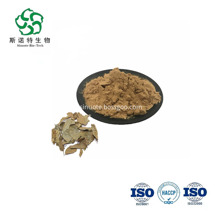 Leaf Microcos Paniculata Extract Powder