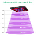 Full Spectrum 2000W LED Grow Light with 2835 LED Chip Promote Plant Growth Phytolamp for Indoor Plant Use Waterproof Material