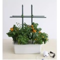 Indoor Vegetable Hydroponics Vertical Garden Systems