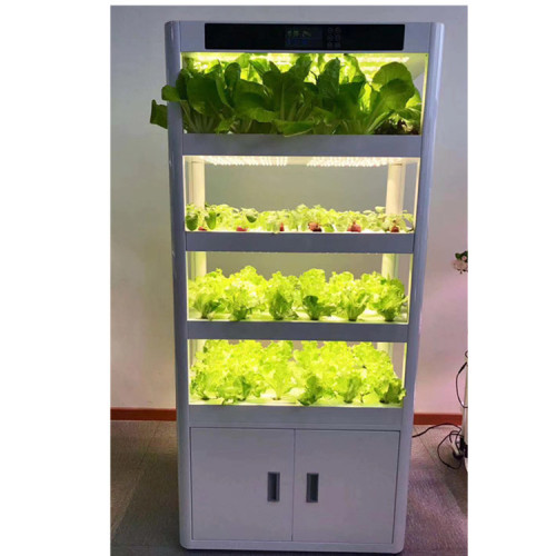 Vertical Hydroponic with Fish Tank For Vegetables Growing Manufacturers and Vertical Hydroponic with Fish Tank For Vegetables Growing Suppliers