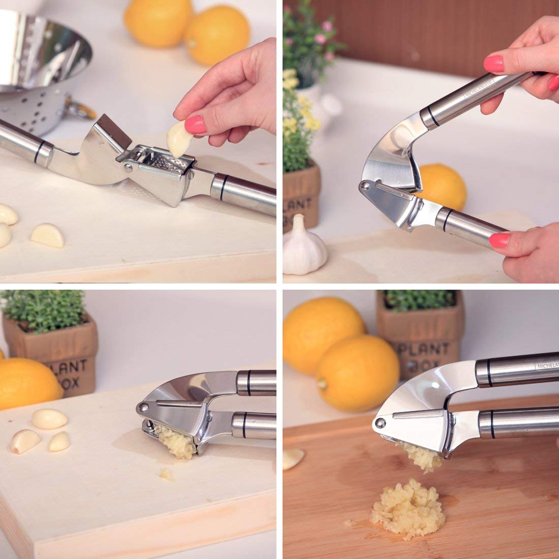 garlic press stainless steel