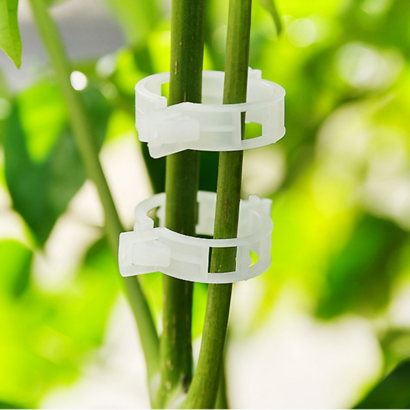 types plants Hanging Plastic Durable Clear Plant Support Clips Vine Garden Vegetables 23mm