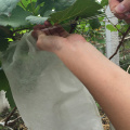 100Pcs Grape Protection Bags For Fruit Vegetable Grapes Mesh Bag Against Insect Pouch Waterproof Pest Control Anti-Bird Garden