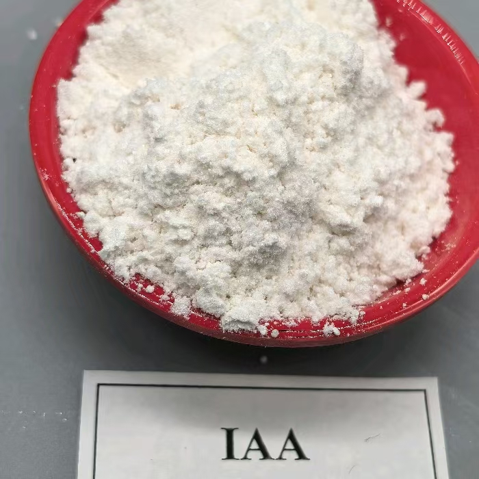 auxin IAA growth promoter  (19)