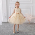 2020New Girl Princess Dress Small Fragrance Long-sleeved Mesh Ball Gown Dress Feather Embroidery Children Wedding Party Clothes