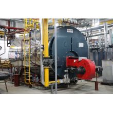 Dual fueled diesel LPG fuel thermal oil boiler