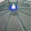 6/8/12/16 Holes Folded Portable Hexagon Fishing Net Crayfish Fish Automatic Trap Shrimp Carp Catcher Cages Mesh Nets CrabTrap