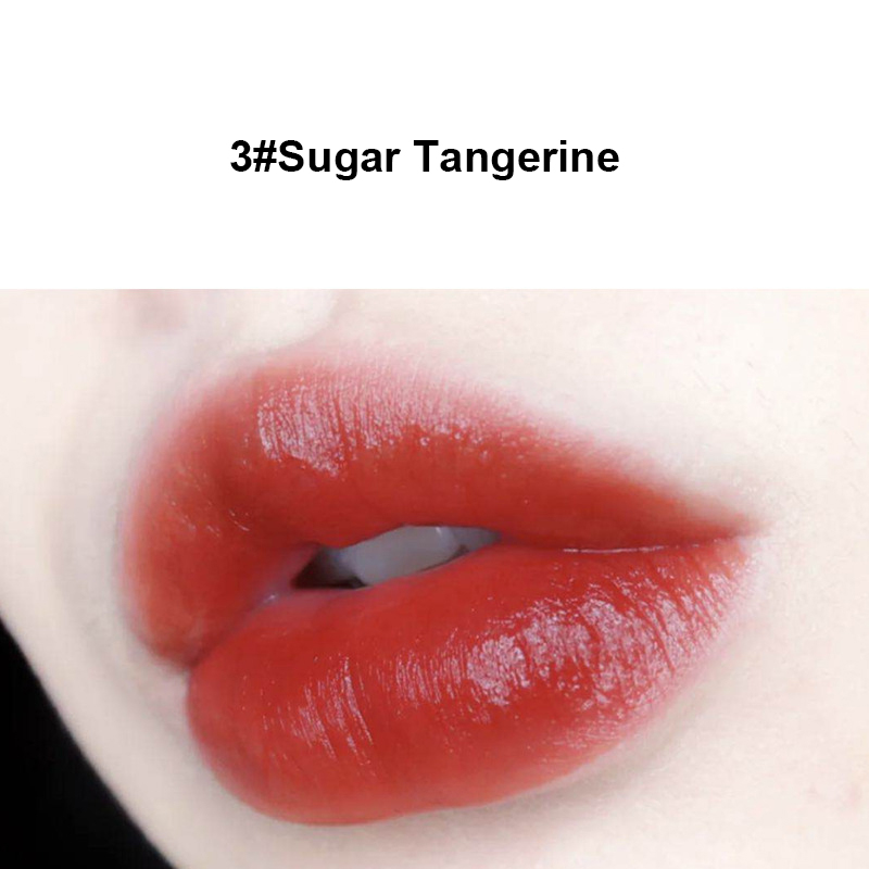 VONGEE 5pcs/set Renaissance Style Lip Glaze Set Sexy Matte Dyeing Lip Gloss Matte Lipstick Lip Kit Lip Tint Lips Cosmetic TSLM1