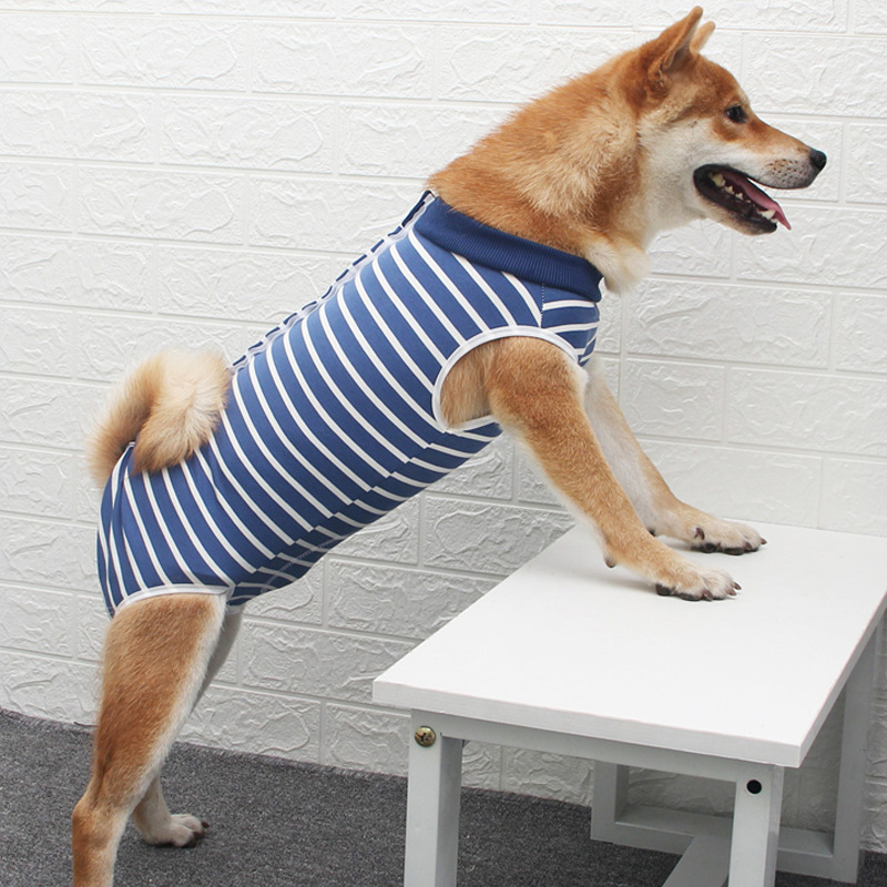 After Surgery Pet Clothing Uk