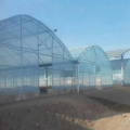 Vegetable Greenhouse Film Covering Sheet Agricultural Cultivation Anti-aging Anti-fog Heat Preservation Plastic Cover Film