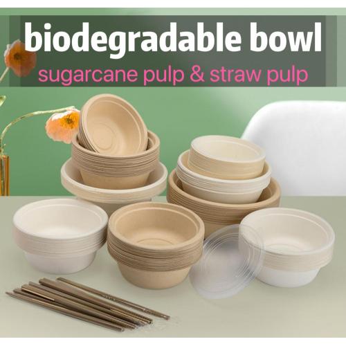 Suppliers for Biodegradable tableware Sugarcane Bagasse Round Bowl