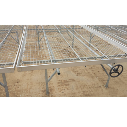 Skyplant Agriculture Greenhouse Seed Rolling Bench Bed Manufacturers and Skyplant Agriculture Greenhouse Seed Rolling Bench Bed Suppliers