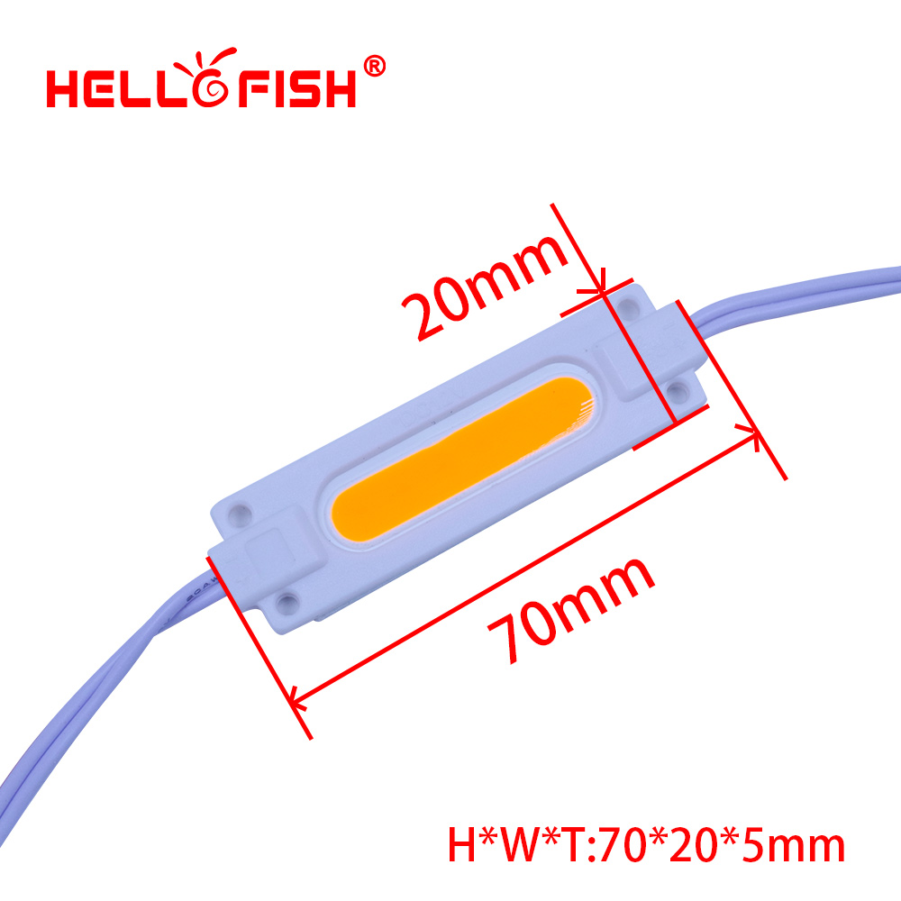 Hello Fish 20pcs DC12V COB LED Modules 7020 Advertising Modules Luminous characters, backlight modules IP65 Waterproof