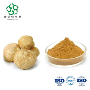 Lion's Mane Mushroom Extract 50% Polysaccharide Powder