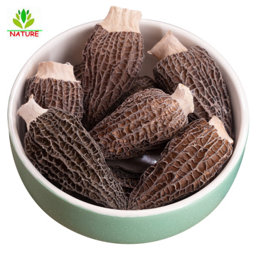 Dried Wild Organic Natural Whole Morel Mushrooms