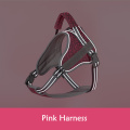 Pink Harness