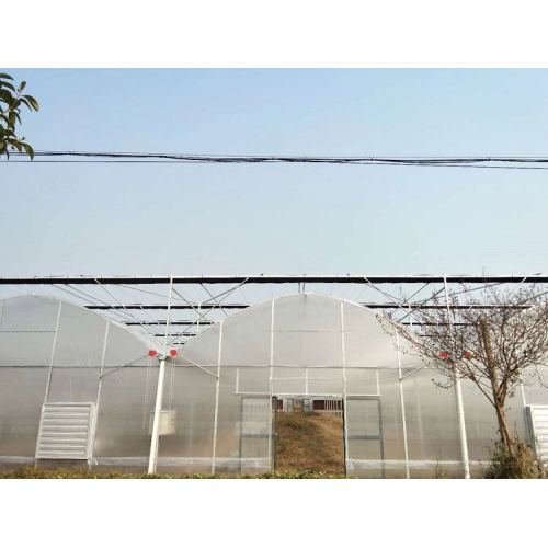 Agricultural Low Cost Plastic Film Covered Greenhouse Manufacturers and Agricultural Low Cost Plastic Film Covered Greenhouse Suppliers