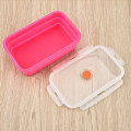 Silicone Bento Box Folding Lunch Bowl Food Storage Container Boxes Tableware TN99