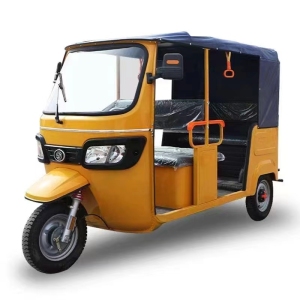 Electric Tuk Tuk Price