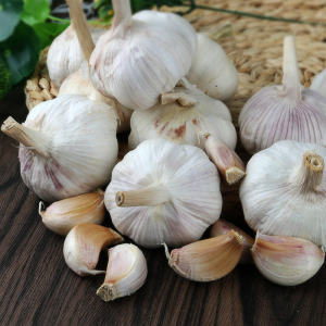 High-quality new crop dried garlic wholesales price