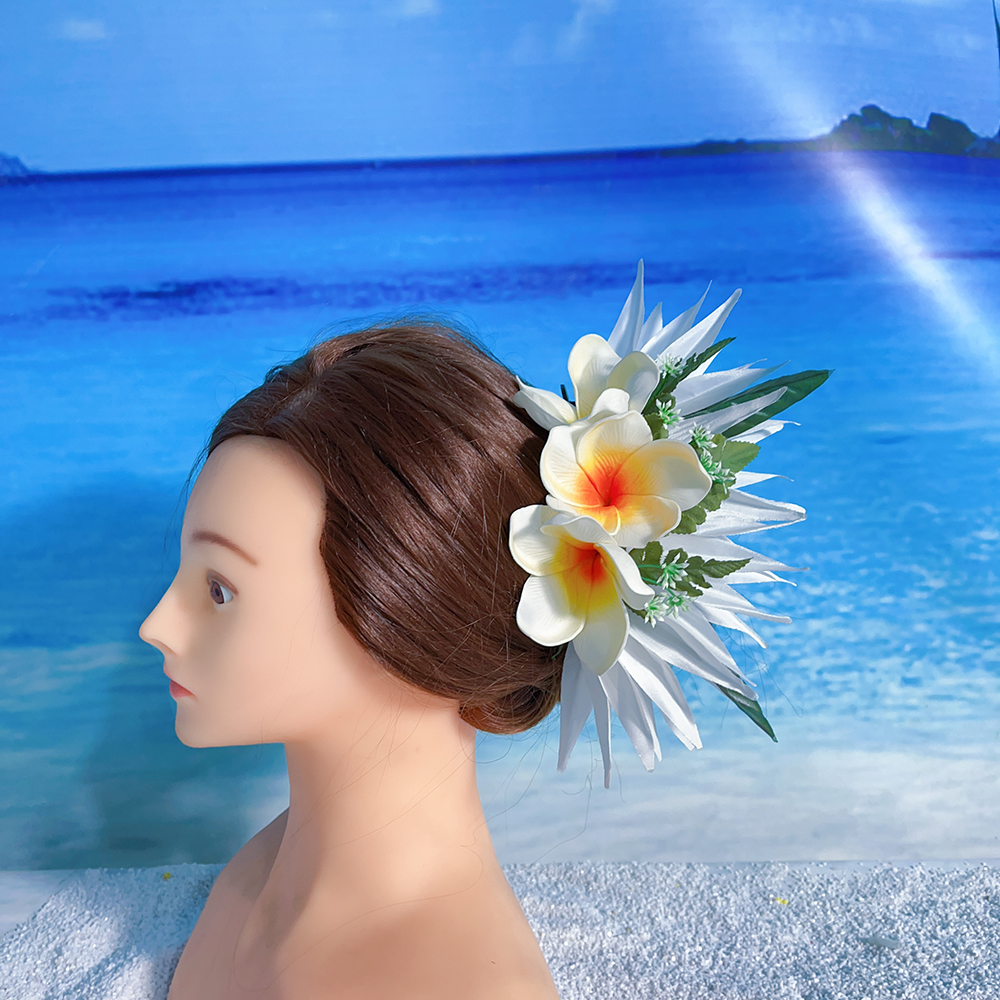 Kn Hc004 06 Hair Clip